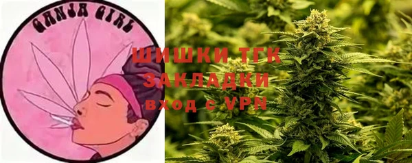 дмт Кинешма