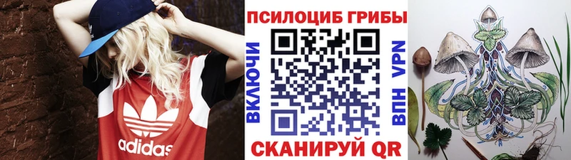 Галлюциногенные грибы Cubensis цены Абакан